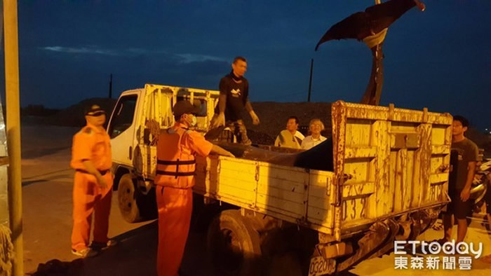 台湾台南市北门区王爷港汕海边发现搁浅死亡的伪虎鲸