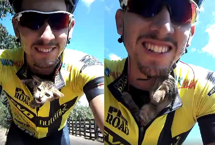 ���������г��־�����è�Ż��� è��תͷ��������л