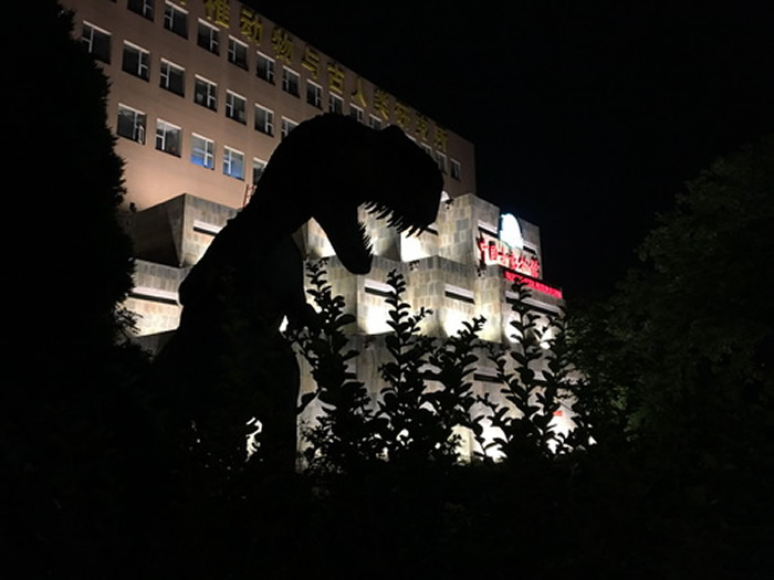 全国科技周夜场活动“科学之夜”在中国古动物馆举行