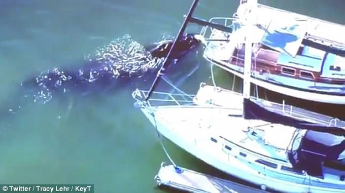 ����������ͷ�����뺣�� ����Ԯ��Աˮ�������������λش�