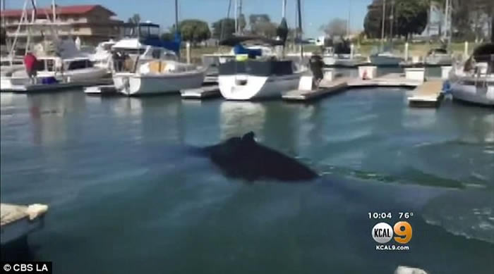 ����������ͷ�����뺣�� ����Ԯ��Աˮ�������������λش�