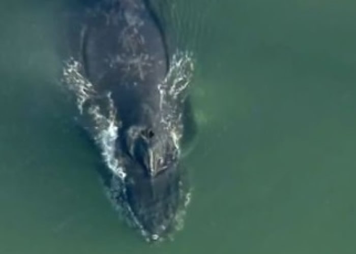 ����������ͷ�����뺣�� ����Ԯ��Աˮ�������������λش�