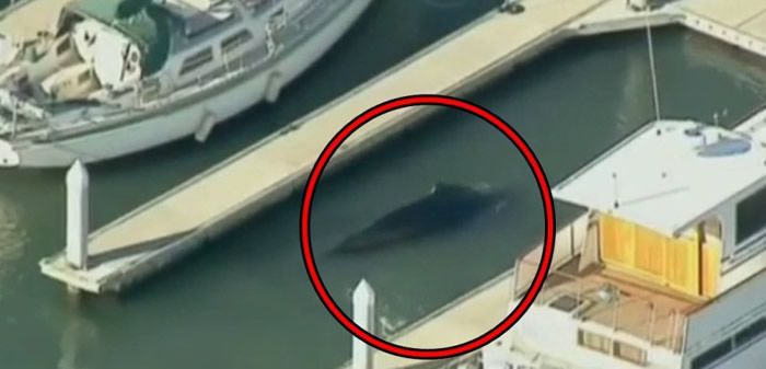 ����������ͷ�����뺣�� ����Ԯ��Աˮ�������������λش�