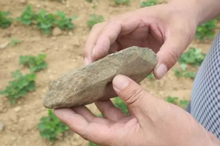 考古学者马宝光在方城县袁店乡河西三四级阶地岗坡上发现数千件旧石器