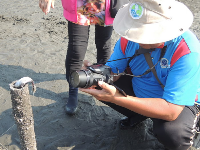 ̨ûγ ԭǼˮʭʳ̩ά