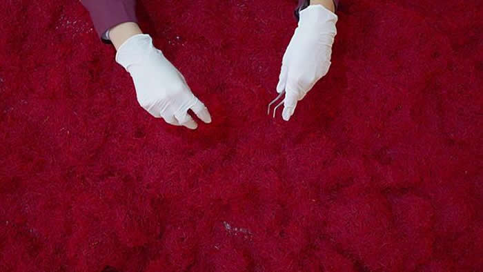 世界上最昂贵的香料:番红花秘史