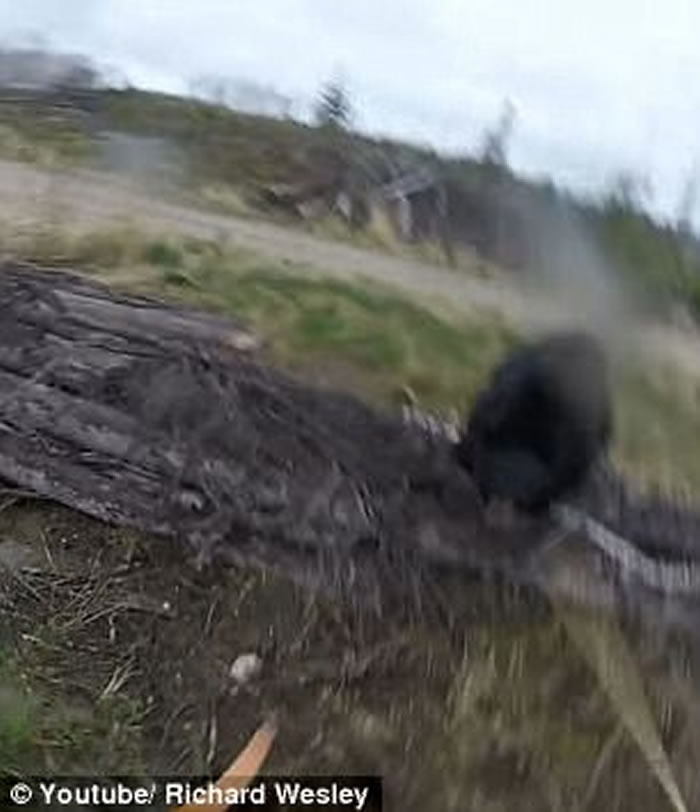 ô󰲴ʡ˽ɭ𹭼׼ ȴ˵