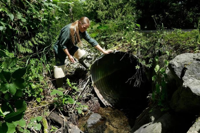 州政府需更换水渠。