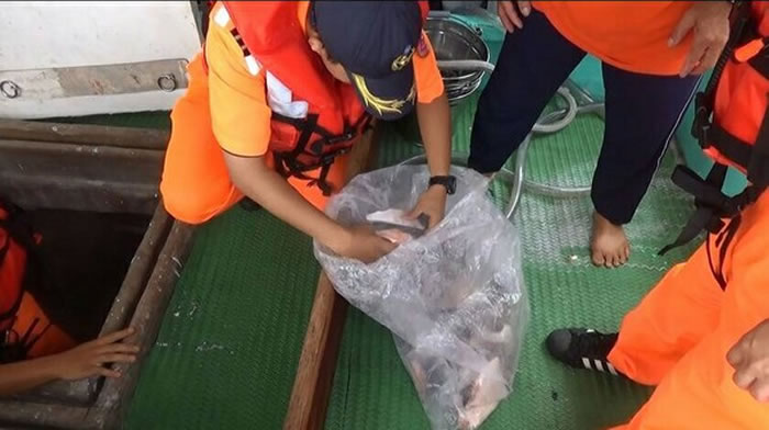 违反“鲨鱼鳍不离身”规定 台湾金○祥渔船被依法函送