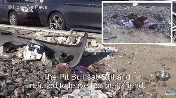 ������ɼ������������Ȯ���ں��ѹ��Ȯ���߳���2������