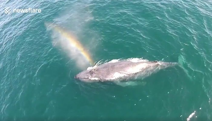 ����Ŧ���غ�̲��ͷ�������滻��ʱͷ�����һ���ʺ�