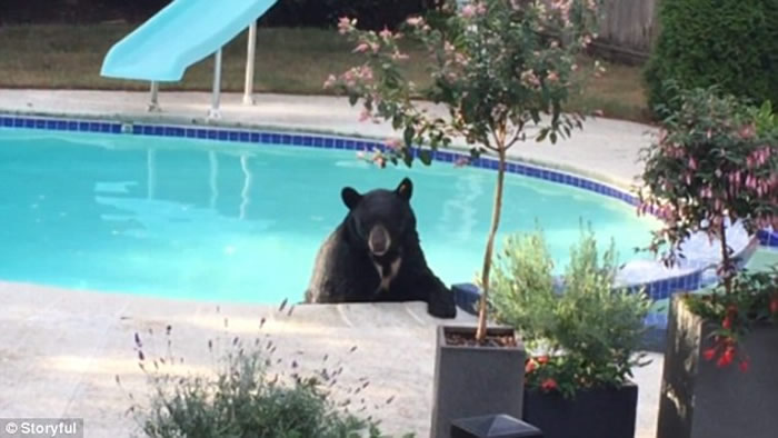 ô¸绪кԺ 鿴ֺܾȻӾ