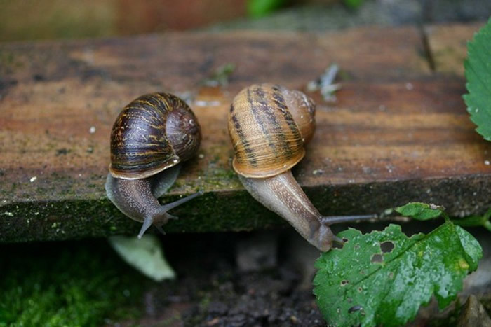 ��ֻԭ��Ҫ��Ը���Ʋ�ӡ������ס�����ţ����Ȼ���࿴���ۡ�