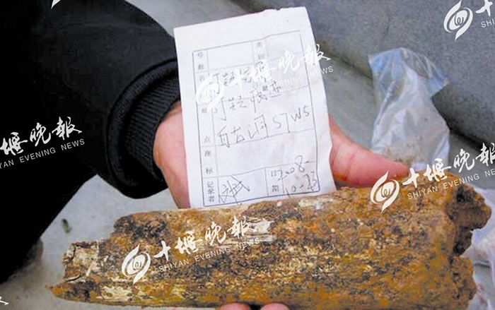 郧西白龙洞出土的可疑烧骨,初步推测是古人类生活用火痕迹