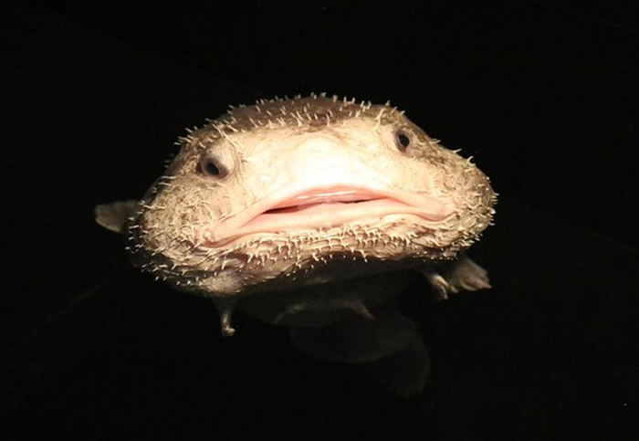 �ձ������ص�ˮ��ɫ����ˮ�������չ��5���в����ˮ����