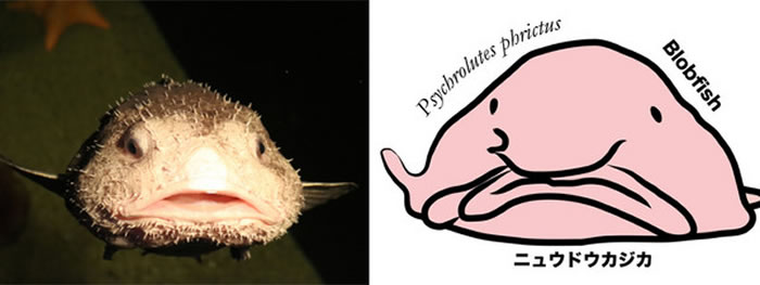 ��ͨ���ˮ���㣬�����Ѵ��һ�㶼����