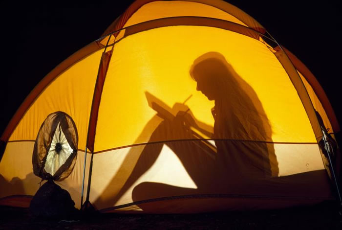 һ���о����֣����ڻ�Ұ�д�������󣬴���������ļ������������� PHOTOGRAPH BY MICHAEL NICHOLS, NATIONAL GEOGRAP