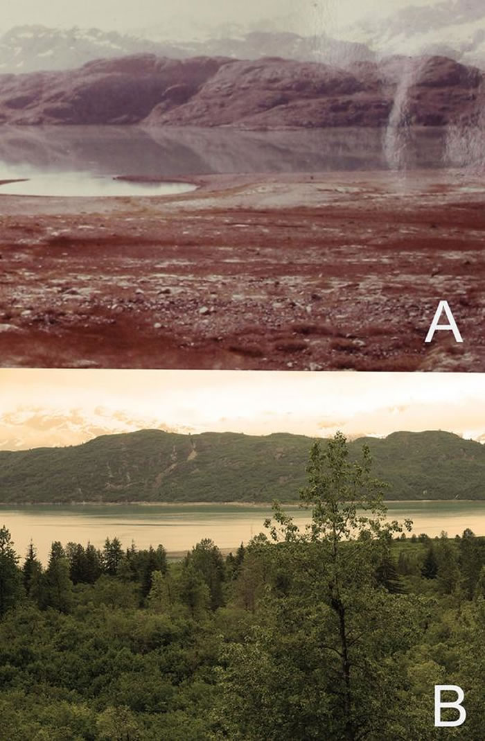 оУɭֿ COURTESY BRIAN BUMA