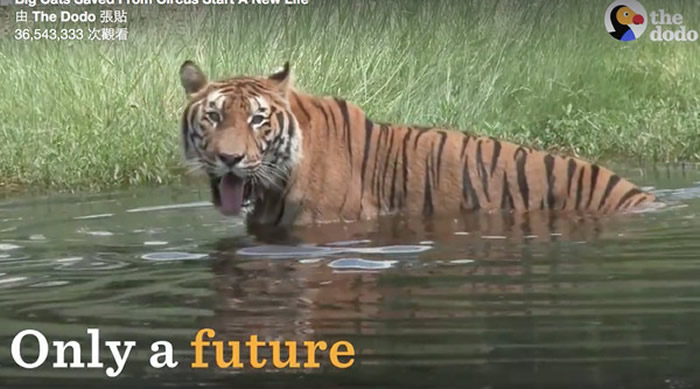 ��һ����Ӿ���ϻ������龪ϲ��