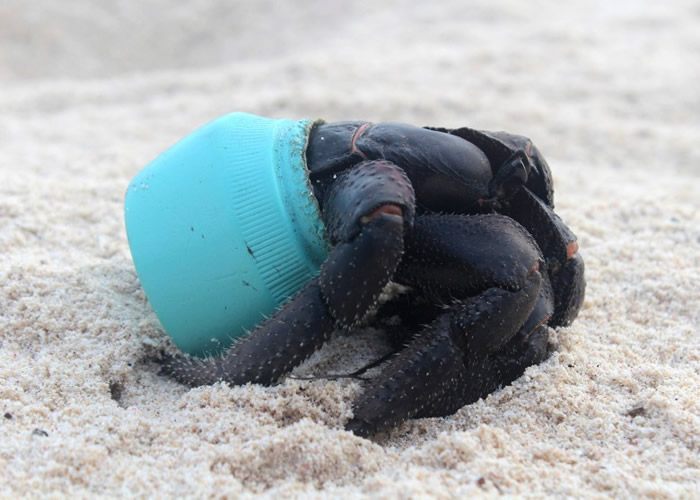 �мľ�з�Ի�ױƷ������������