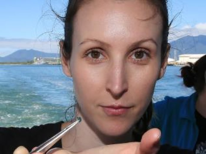 ��ά˹��ͼ��ָ�������Ϻ��ɭ����̲������������ǡ�