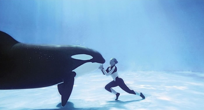 杀人鲸Tilikum将与之相处多年的训练员杀死。