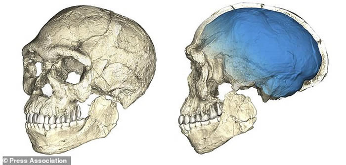 德国研究人员在摩洛哥发现最古老智人遗骸化石 距今30万至35万年历史