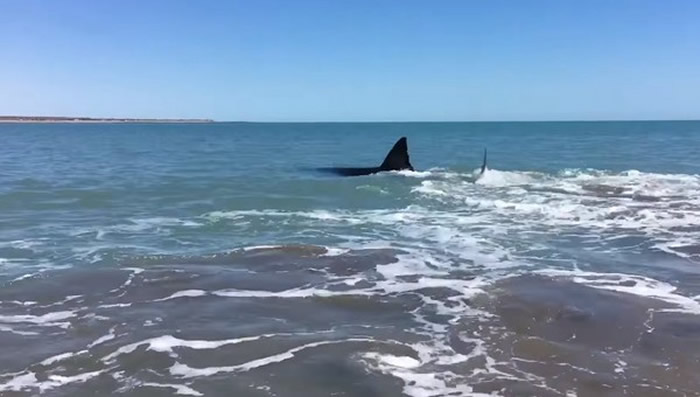 ī׷ɱɳ̲ǳ ֵǰ鿴ȴ޴