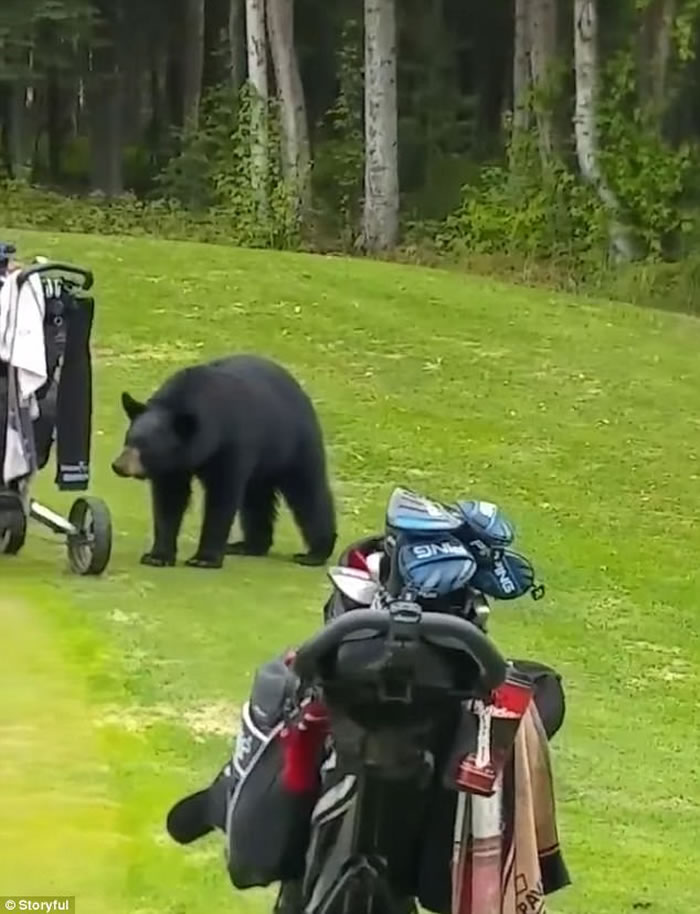 ˹Ӱĸ߶򳡺ܱ߰ĬĬ߻