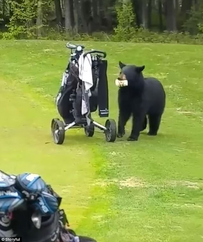 ˹Ӱĸ߶򳡺ܱ߰ĬĬ߻