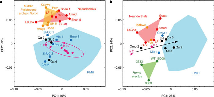 人类起源于东非学说遭受挑战 北非摩洛哥发现最古老智人化石