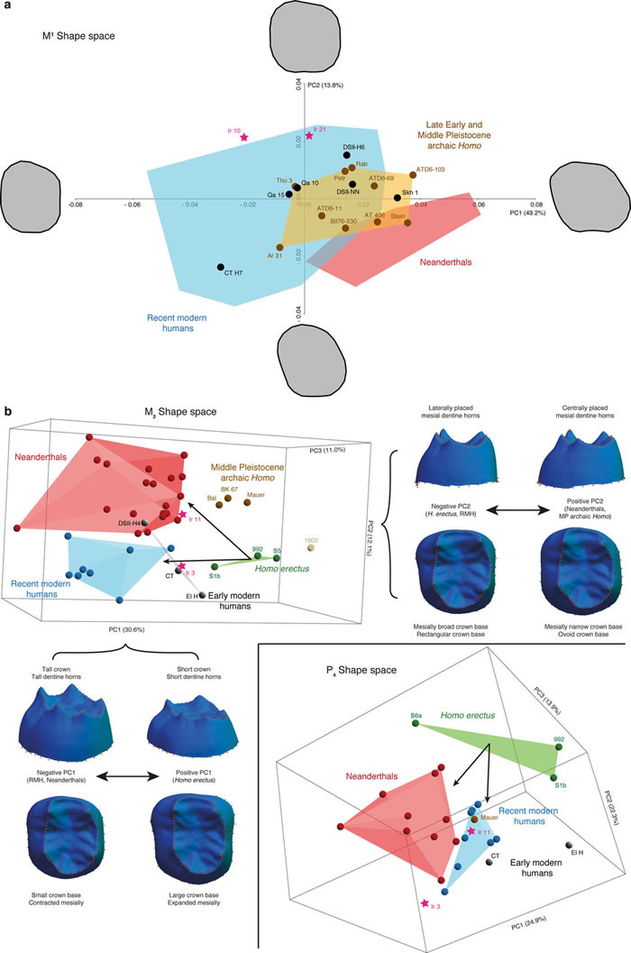 人类起源于东非学说遭受挑战 北非摩洛哥发现最古老智人化石