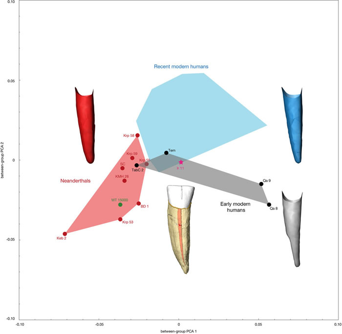 人类起源于东非学说遭受挑战 北非摩洛哥发现最古老智人化石