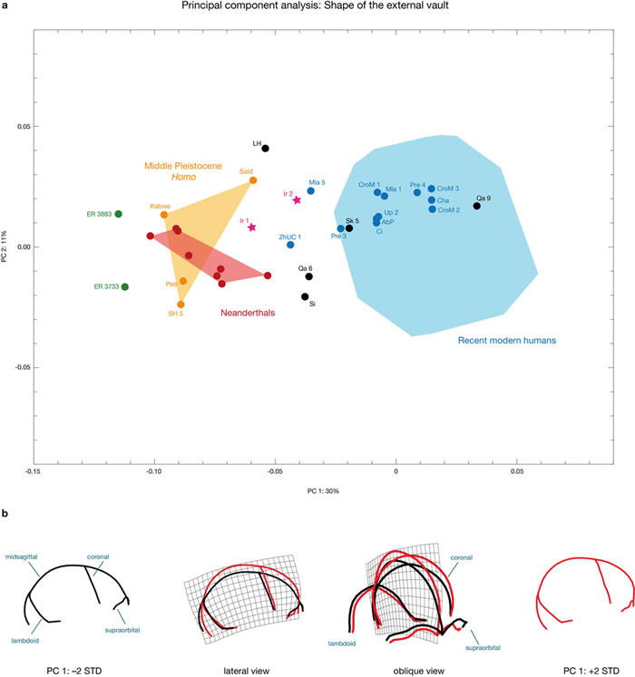 人类起源于东非学说遭受挑战 北非摩洛哥发现最古老智人化石