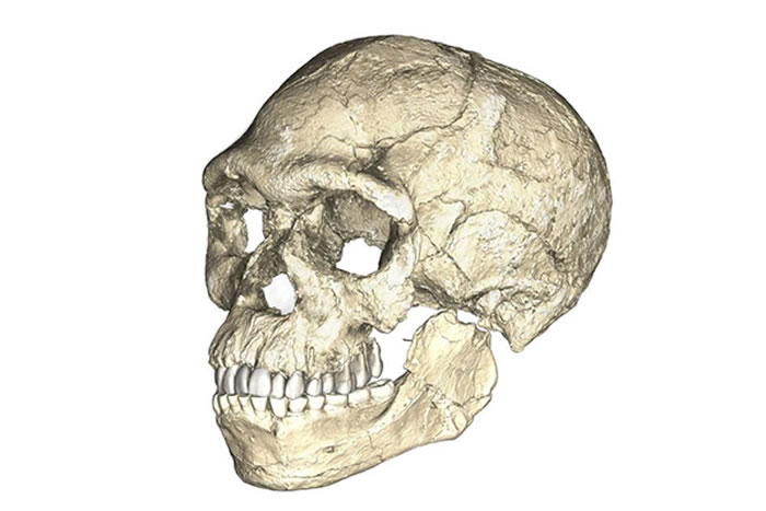 оԱJebel Irhoudڶ໯ʯάɨ裬ؽĳλ˵ͷǡӰPHILIPP GUNZ, MPI EVA LEIPZIG