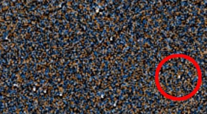 ����ҵ������ѧ�����á�Backyard Worlds:Planet 9���ھ������һ�ٹ��귢�����ذ���