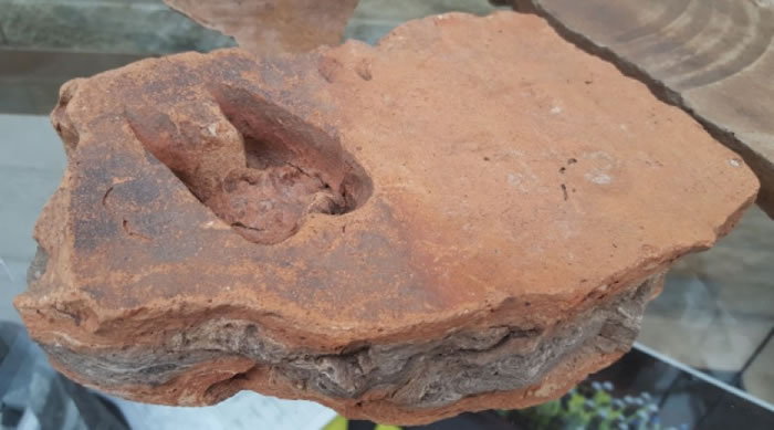 同时出土的另一块砖块上有鹿蹄印。