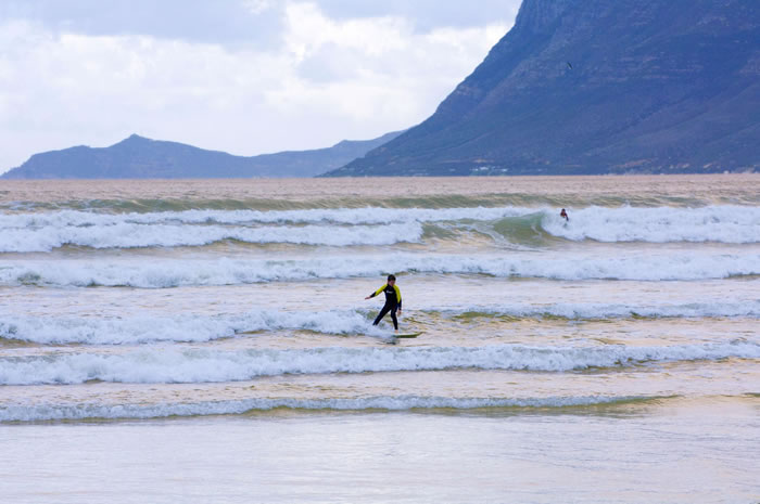 �Ϸ�÷ɭ�� PHOTOGRAPH BY BLAINE HARRINGTON III, ALAMY