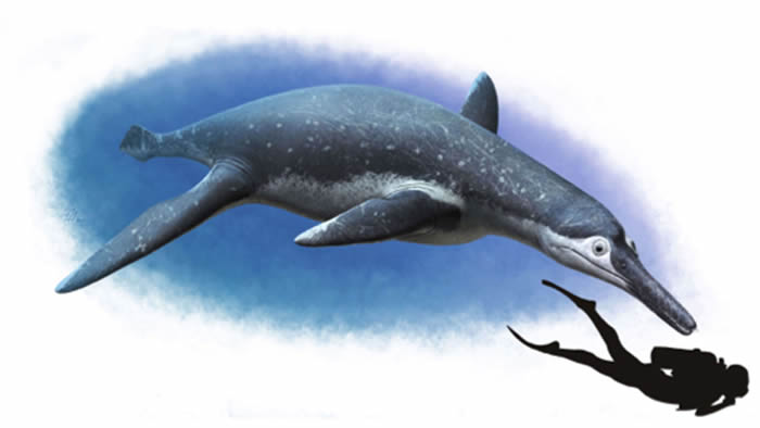 ����˹���ֿ���ʱ���������ж���Pilosaur Luskhan itilensis ����纣�������