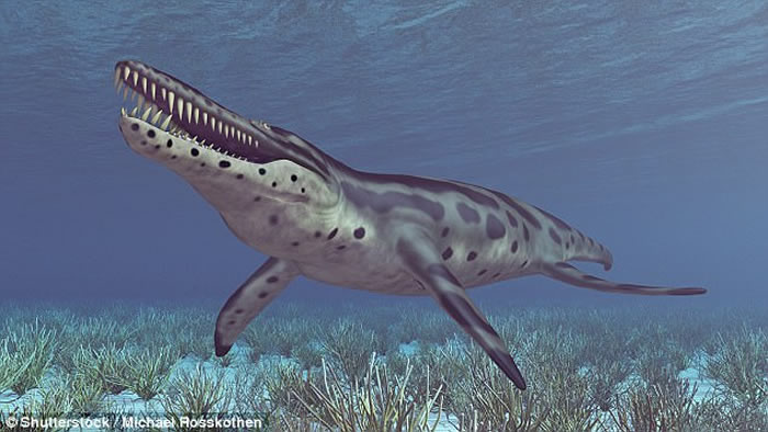 ����˹���ֿ���ʱ���������ж���Pilosaur Luskhan itilensis ����纣�������