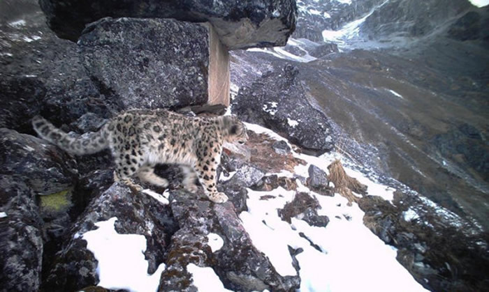 �Ĵ��������Ҽ���Ȼ������7����������ѩ����364��