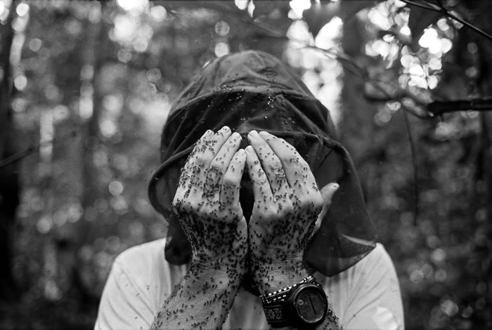 2002年,一张在刚果共和国的瓜鲁格三角地带(Goualougo Triangle)、身上爬满汗蜂(sweat bees)的自拍照。 PHOTOGRAPHY B