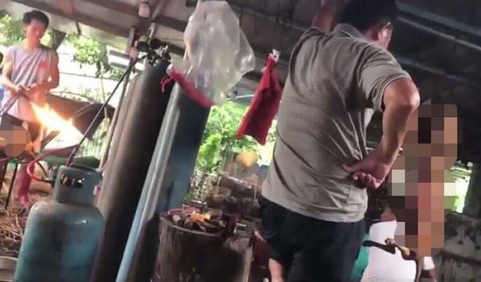 动保人士当卧底,潜入玉林狗肉屠宰场。