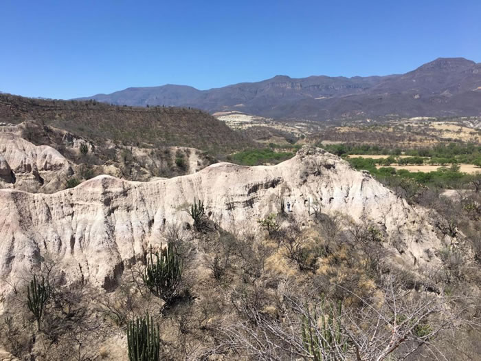 īƤصĻʯַŴˮ̡ݾ﷢ֵġ PHOTOGRAPH BY JACK TSENG, UNIVERSITY AT BUFFALO