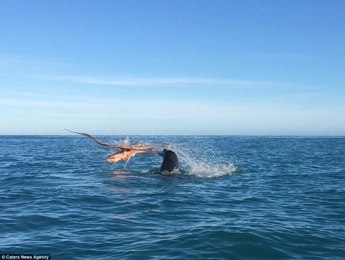 ���������������������������Ｄս ����ŭ������ų���