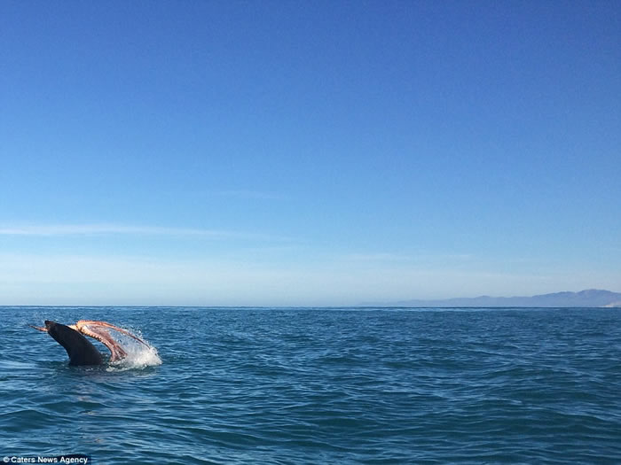 ���������������������������Ｄս ����ŭ������ų���