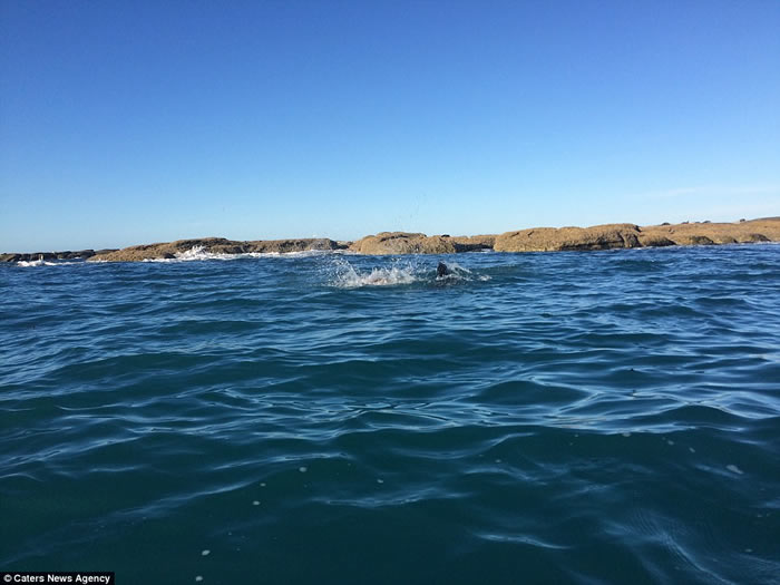 ���������������������������Ｄս ����ŭ������ų���