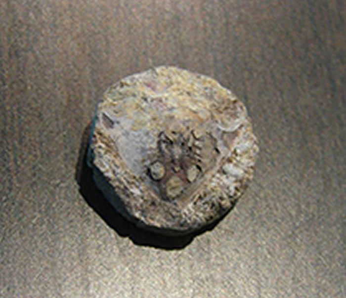 �㽭���㣨ͷ��������ʯ��