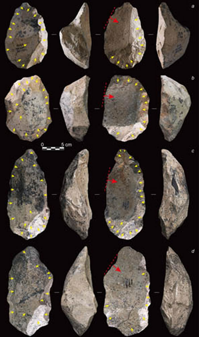 西维多利亚石核举例(黄色箭头代表预制过程中的剥片方向;红色箭头代表优先型大石片的打击方向)(李浩供图)
