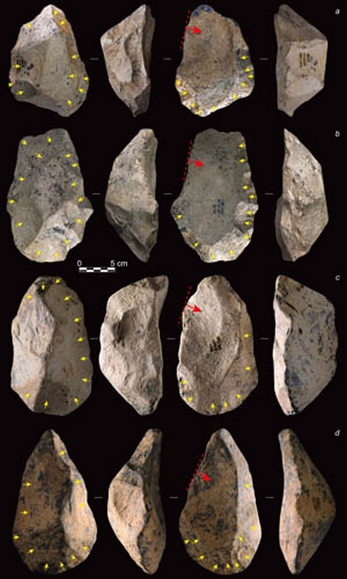 西维多利亚石核举例(黄色箭头代表预制过程中的剥片方向;红色箭头代表优先型大石片的打击方向)(李浩供图)